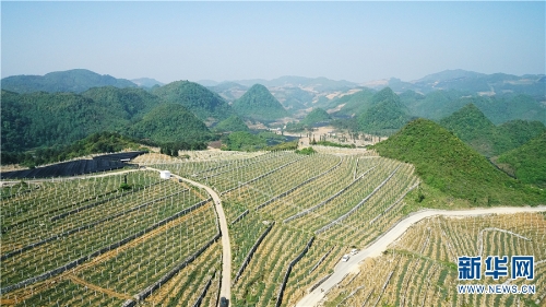 137177985_15262857344491n