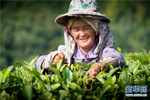 137177985_15262857340891n