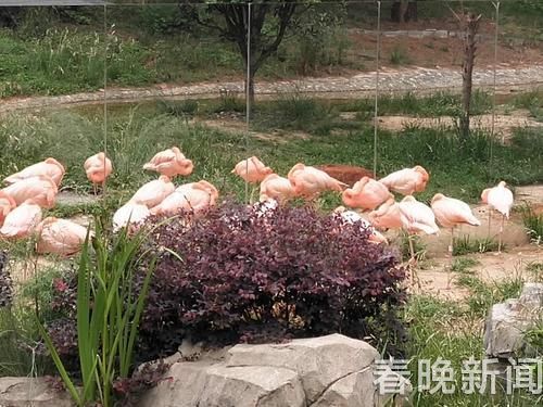 37448_500x500 37448_500x500