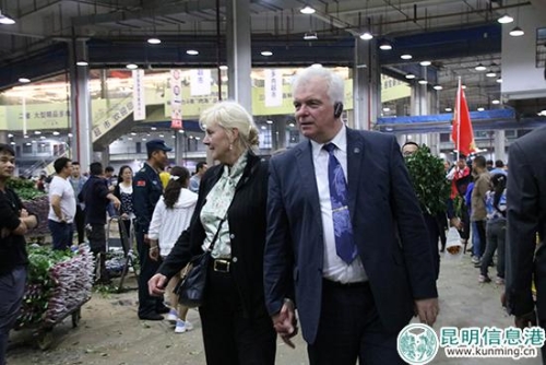 外国驻华使节团参观斗南鲜花交易市场。记者甘凌菲摄