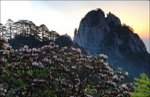 2063d152-c7e8-48f2-b3e6-b22200646a19 2063d152-c7e8-48f2-b3e6-b22200646a19