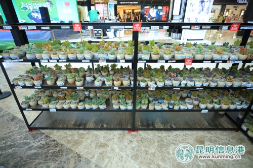 微信图片_20180520210242