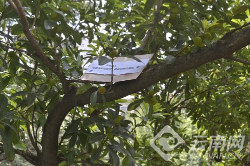 d8cb8a0c68b41c6bab9f17