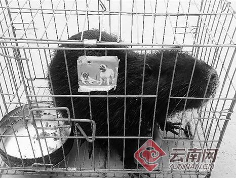 1860248a88061c6d5c8030