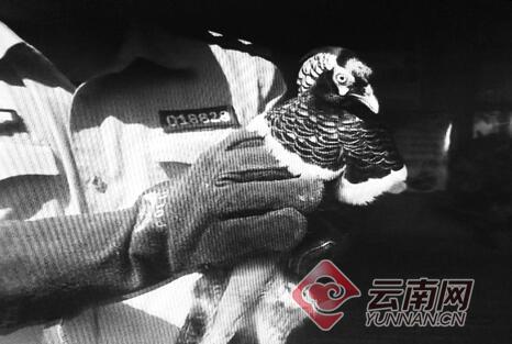 1860248a88061c6d5c8031