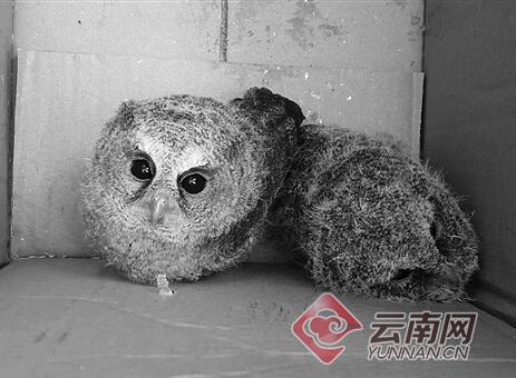 1860248a88061c6d5c8133