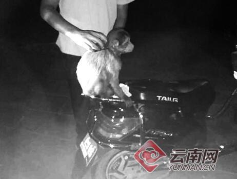 1860248a88061c6d5c8032