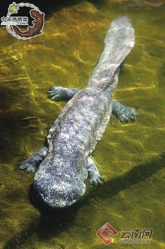 1860248a871d1c700fcd08