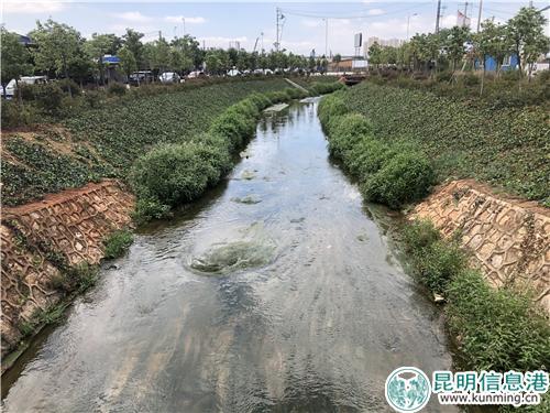 绿水盈盈、植物渐茂，海河旧貌换新颜。