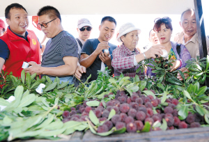 61891527268374885 61891527268374885