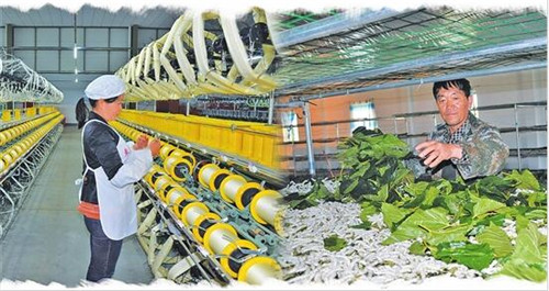 QQ截图201805300809112