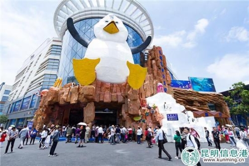 昆明花都海洋世界 供图