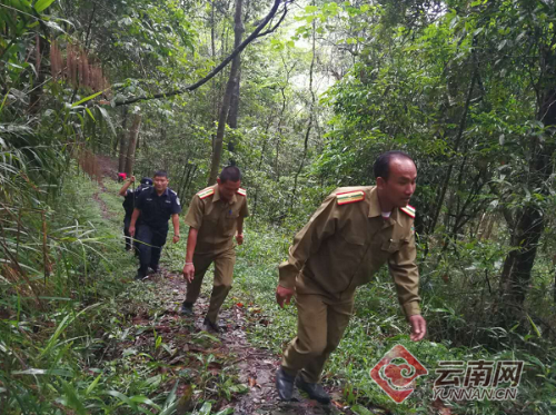 000c29d1d6171c7e4bdf5c