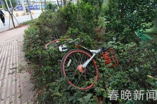 201806071711326BOVYC 201806071711326BOVYC