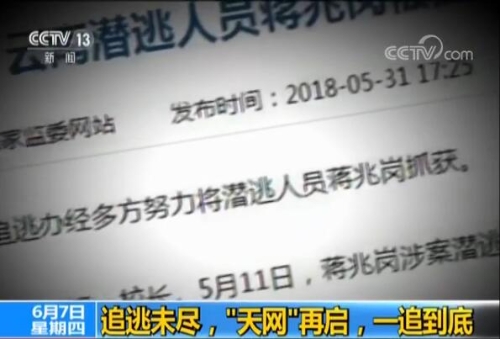 中央纪委监察委网站发布蒋兆岗被抓获消息。视频截图