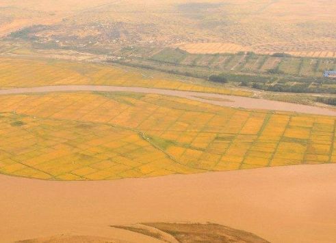 if(/(iPhone|iPad|iPod|iOS)/i.test(navigator.userAgent)){
                            document.write("<span class='rich_media_title_ios'>重大突破！中国科学家让稻田出现在中东沙漠！</span>");
                        }else{
                            document.write("重大突破！中国科学家让稻田出现在中东沙漠！");
                        }