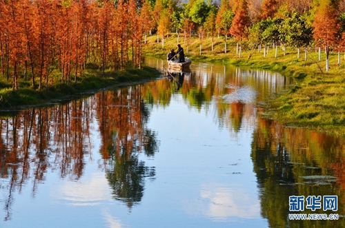 晋宁东大河湿地1