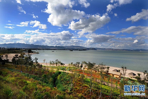 晋宁东大河湿地12