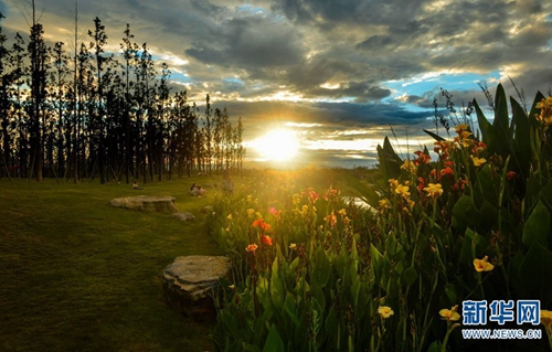 呈贡斗南湿地14