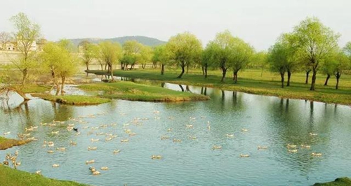 b205-fyvtmxe515088113