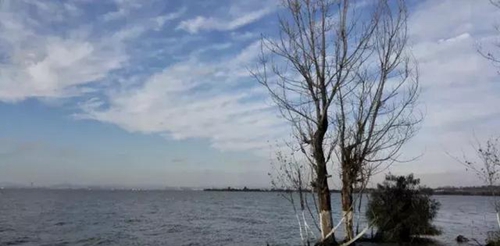 8c9c-fyvtmxe515100312