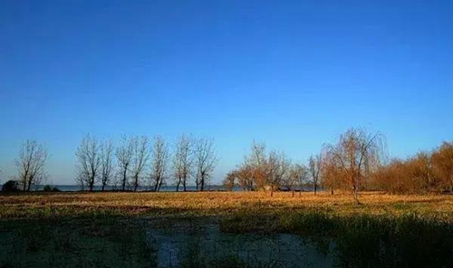 4fcd-fyvtmxe515119710