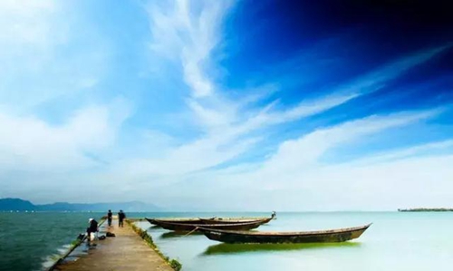 f425-fytnfyp144081509