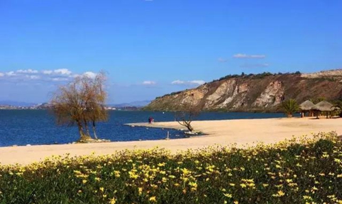 e055-fytnfyp144086407