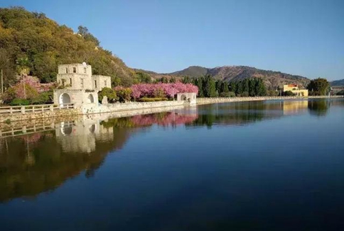 9f5d-fyvtmxe515178406