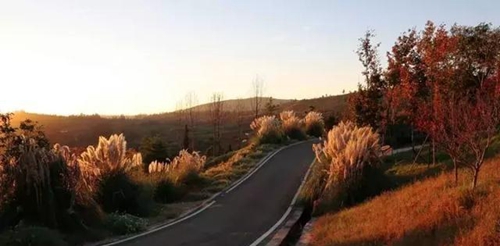 1500-fyvtmxe515187105