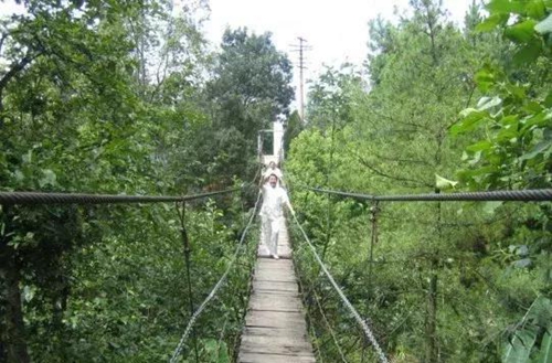 559e-fyvtmxe515200104