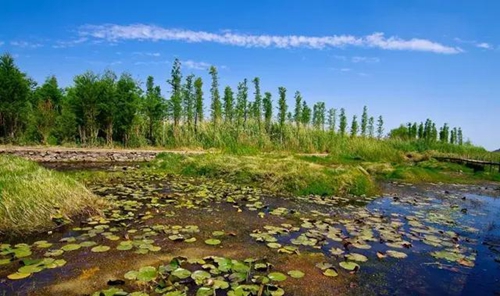 3730-fyvtmxe515209103