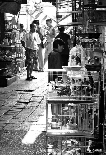 微信图片_20180614192506