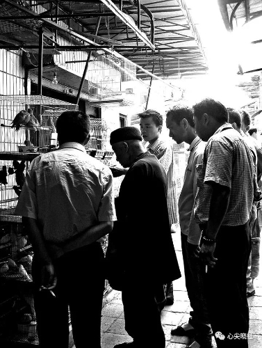 微信图片_20180614192509