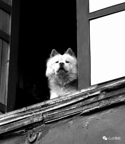 微信图片_20180614193323