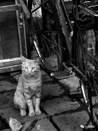 微信图片_20180614193328