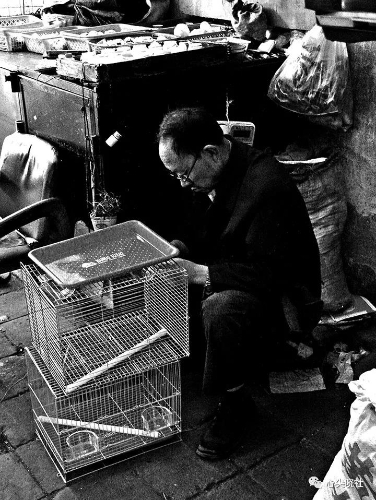 微信图片_20180614194001