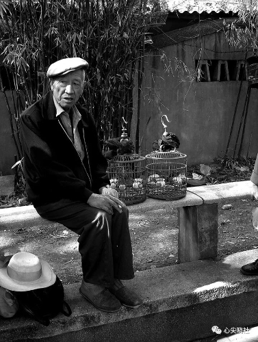 微信图片_20180614194154