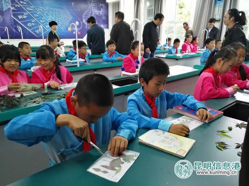 呈贡实验学校的学生在做植物标本。记者孙红亮摄 呈贡实验学校的学生在做植物标本。记者孙红亮摄