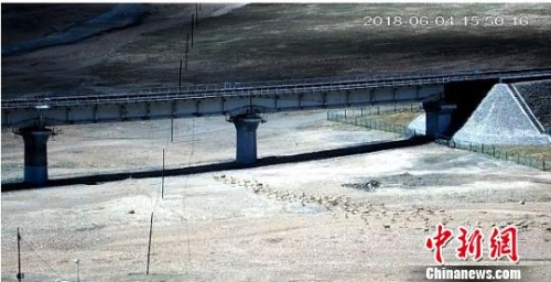 CqgNOlsoZNuAF58sAAAAAAAAAAA507.550x412 CqgNOlsoZNuAF58sAAAAAAAAAAA507.550x412