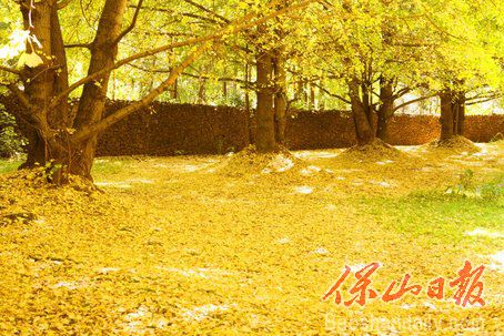 6f9d8c4c02b2a0d013e8b4901fd875b1