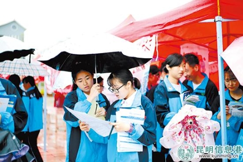 高招会玉溪3 高招会玉溪3