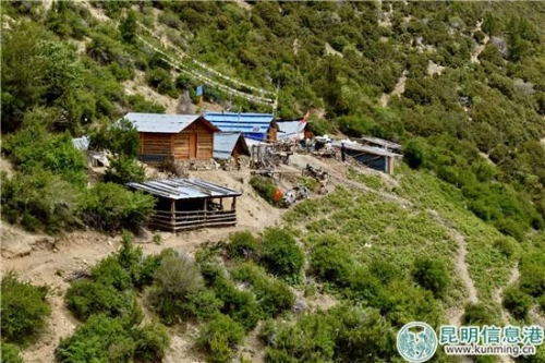 虫草山上的新苍工作点。图片来源云南画报 虫草山上的新苍工作点。图片来源云南画报