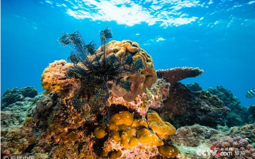 QQ截图20180627133838