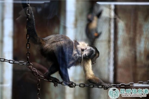 都市时报记者曲鸣飞摄 都市时报记者曲鸣飞摄