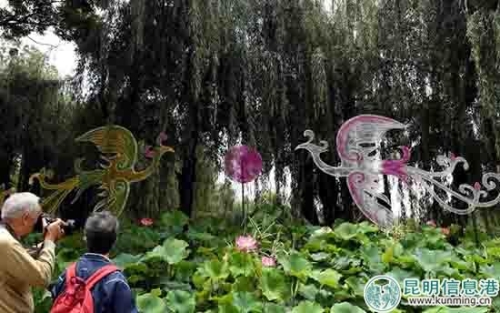 双凤朝阳荷花造型组。昆明日报记者杨艳辉摄