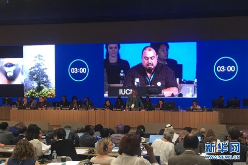 1123068492_15305363070901n