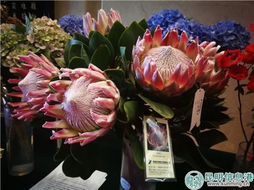 IMG_20180706_095202 IMG_20180706_095202