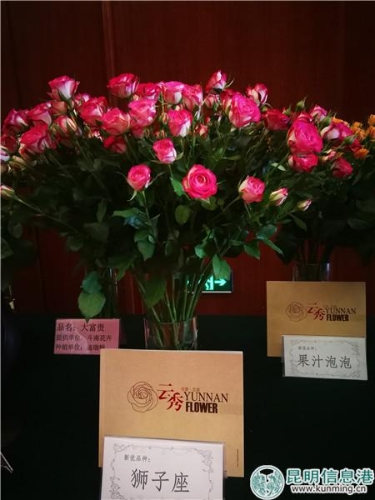 IMG_20180706_105332 IMG_20180706_105332