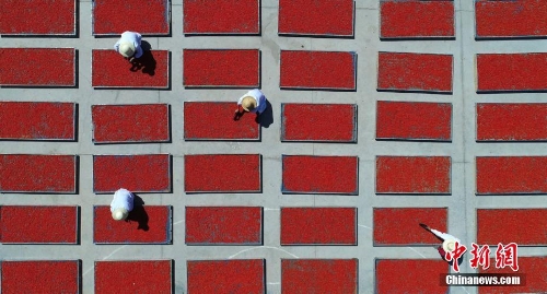 41093ddd378e4d0c9caca9fdfa72a795